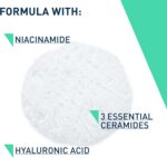 CeraVe Foaming Cleanser (UK)