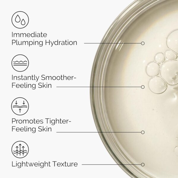 The Ordinary Hyaluronic Acid 2% B5 (30ml)