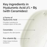 The Ordinary Hyaluronic Acid 2% B5 (30ml)
