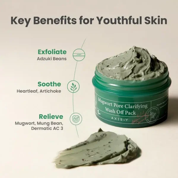 AXIS-Y Mugwort Pore Clarifying Wash Off Mask (100 ml)