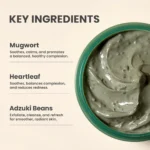 AXIS-Y Mugwort Pore Clarifying Wash Off Mask (100 ml)