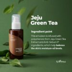 ISNTREE Green Tea Fresh Emulsion (120 ml)