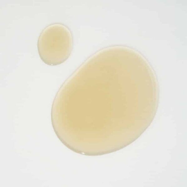 KAINE Kombu Balancing Ampoule Toner (150 ml)