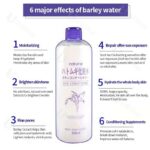 Naturie Hatomugi Skin Conditioner Lotion 500ml