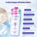 Naturie Hatomugi Skin Conditioner Lotion 500ml