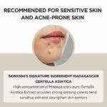 SKIN1004 Madagascar Centella Ampoule