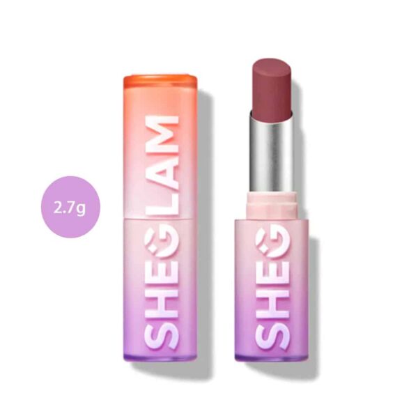 SHEGLAM Dynamatte Boom Long-lasting Matte Lipstick – A Bold Plan 2.7g